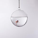 Baosity 透明　ガラス　花瓶　吊り下げ　ファッション　装飾物