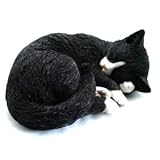 野川農園眠り猫A(八割れ)