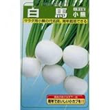カブ 種 白馬小蕪 1dl缶