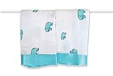 aden + anais Declan Elephant Issie Security Blanket (Pack of 2)