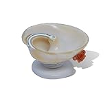 夜光貝 アクセサリースタンド 天然珊瑚 薔薇飾り付き ☆ 配饰台灯