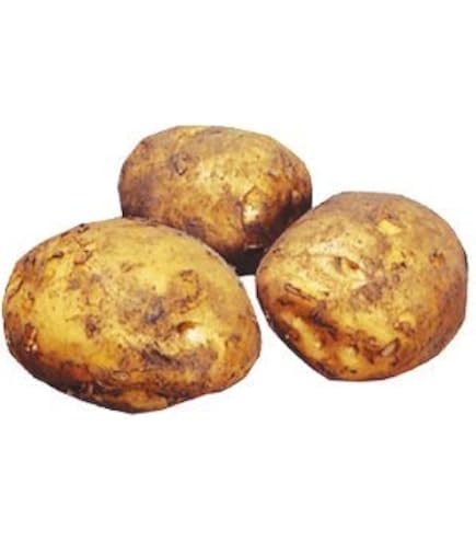 Amazon.co.jp: 種 じゃがいも グラウンドペチカ 500g