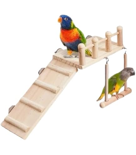 小鳥用止まり木　バードアスレチック Amazon | 鳥アスレチック バードアスレチック インコ 遊び場