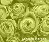LANTERN PARADE