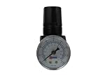 Coilhose Pneumatics MR2-G Miniature Series Regulator with Gauge, 1/4-Inch Pipe Size by Coilhose Pneu