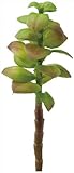 ポピー 多肉植物 造花 ベンケイソウピック レッドグリーン FG-4501R/G