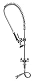 T&S Brass 5PR-2S00-12WB Pre-Rinse with Wall Bracket [並行輸入品]