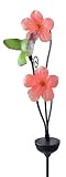 Moonrays 92548 Solar-Powered Hummingbird w/ Pink Habiscus Flowers Garden LED Metal Stake Light by Mo