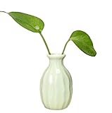 Gespout 花瓶 陶器 白 和風 花器 一輪挿し おしゃれ 花入 水耕栽培用 装飾用品 ドライ花瓶 フローラ 円柱 可愛い 雑貨 人気 観葉植物 卓上置物 小さな口の花瓶