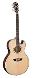 WASHBURN (ワッシュバーン) エレアコギター EA20S-NUNO BETTENCOURT EA20SNB-O-U 【国内正規品】