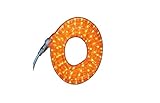Celebrations Halloween Indoor/Outdoor Rope Lights 18', Orange by Celebrations