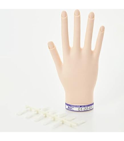 Amazon.co.jp: STモデルハンド セット : ビューティー