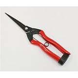 青果用ハサミ/鋏 【大】 200mm 軽量 日本製 J-12 〔園芸 ガーデニング用品〕