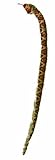おもちゃ 50" Diamond Back Rattle Snake Soft Toy [並行輸入品]