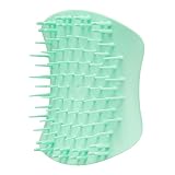 ヘアブラシ TANGLE TEEZER タングルティーザー ザ・スカルプケア ウィスパーミント 頭皮マッサージ [国内正規品]