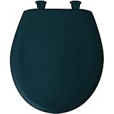 Bemis 200SLOWT 325 Round Closed Front Toilet Seat, Verde Green by Bemis