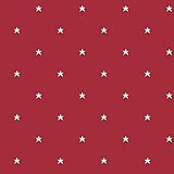 York Wallcoverings bs5481 Room to Grow星壁紙、 BS5481 1