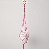 [FARM]ネオンプラントハンガー 75cm 82013 ピンク