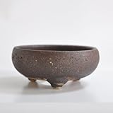 信楽焼 岩石鉄鉢茶 盆栽鉢 5号 幅14cm×高さ6cm