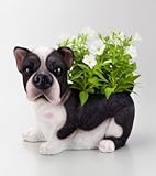 ラブリードック　プランター　フレンチブルドック