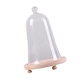 monkeyjack Bell Shaped透明ガラスカバーDIY植物テラリウム花瓶ドライフラワー表示Microlandschaft with木製トレイ Burlywood Tray クリア a87d