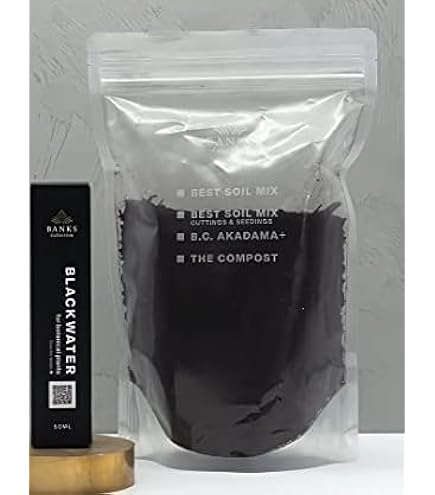 Amazon.co.jp: BANKS Collection GIVE ME GREEN LIGHT by みどりきく