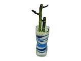 花市場直送便 ミリオンバンブー(カラーサンド植え) プチベースD ブルー