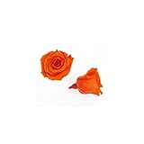 florever　フロールエバー　フレッシュルックベイビーローズ　タンジェリンオレンジ　12輪　Φ2.5～3.5cm　 プリザーブドフラワー　Baby Rose　Tangerine Orange