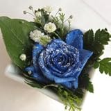 キラキララメ付き バラ1輪のアレンジメント　フラワーベース付き【生花】【お祝い】記念日】【誕生日】【フラワーギフト】【バラ】