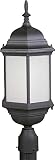 Forte Lighting 17010-01-04 Energy Efficient 1LT CFL Exterior Post Mount, Black Finish with Frosted S
