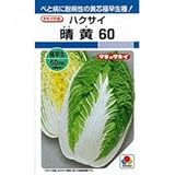 白菜 種 晴黄60 L5千粒