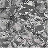 RaiFu 造花 人工花びら ピースホットピンクシルクバラ花びらの花束人工花のウェディングパーティーの通路の装飾タブルの散乱 1000pcs シルバー