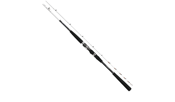 Amazon ダイワ Daiwa 船竿 ベイト Aブリッツ ヒラメ M 270 釣り竿 ダイワ Daiwa 船竿