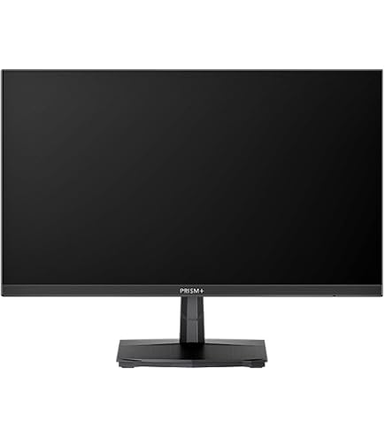 Acer 24.5
