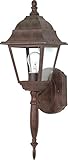Nuvo 60/541 Old Wall Lantern with Clear Glass, Old Bronze [並行輸入品]