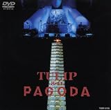 8�E11 �p�S�_-�C���E���m��-