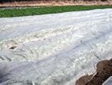 イワタニ　農業用不織布　SUPERアイホッカ　#20　幅120cm×長さ200m