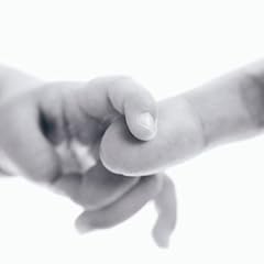 ������ / JAMOSA