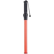 ★内なる光を燃やし、スピリチュアルリーダーへの旅を始めよう！上級コース☆非売品★ ☆内なる光を燃やし、スピリチュアルリーダーへの旅を始めよう