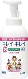 [8202764]ライオン　キレイキレイ薬用泡ハンドソープ５５０ｍｌ BPGHALK