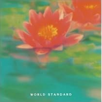 鈴木惣一朗 細野晴臣 WORLD STANDARD/ DISCOVER World Standard: The Nostalgic Environmental Sounds of