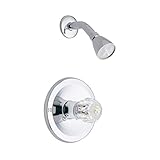 Waxman 0427000A Classic Single-Handle Faucet Shower Set, Chrome [並行輸入品]