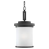 Sea Gull Lighting 60660-185 Winnetka Outdoor Hanging Light by Sea Gull Lighting [並行輸入品]