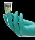 Disp. Gloves, Neoprene, XL, Green, PK100 by Ansell