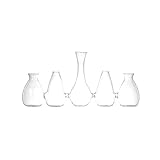 DULTON(ダルトン) 花瓶 ガラスベース スパラクシス パレード ラインB GLASS VASE SPARAXIS PARADE LineB A565-505B