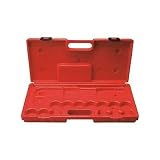 BBK REDDEVIL VIRAX専用ケース