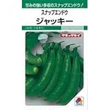 スナップエンドウ 種 【 ジャッキー 】 種子 小袋（約20ml）