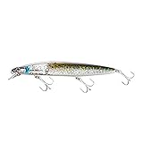 シマノ(SHIMANO) ミノー エクスセンス サイレントアサシン 140F フラッシュブースト 002 Fボラ(キョウリン) シーバスミノー ルアー