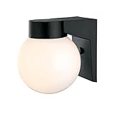 Acclaim 120BK Builder's Choice Collection 1-Light Wall Mount Outdoor Light Fixture, Matte Black [並行輸