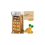 サン・ハーベスト はいちょう付き野菜ストッカー 40cm幅 KP-5040LBR